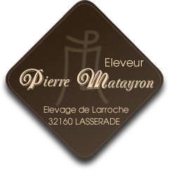 COFFRET CADEAU  Pierre Matayron