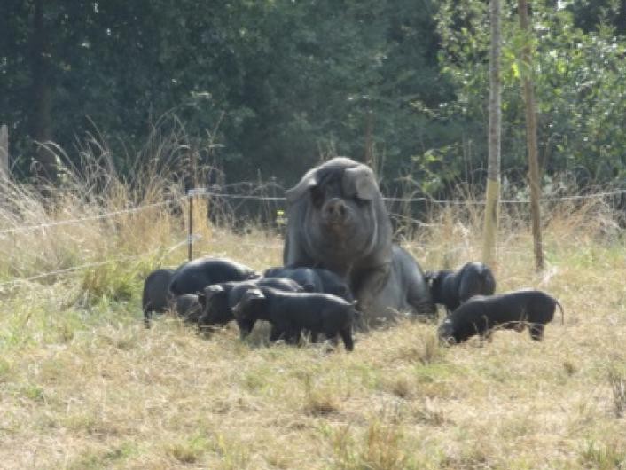 Avec maman