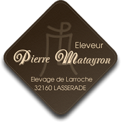 Pierre Matayron