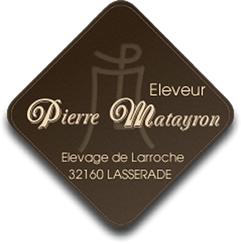 Logo Pierre Matayron